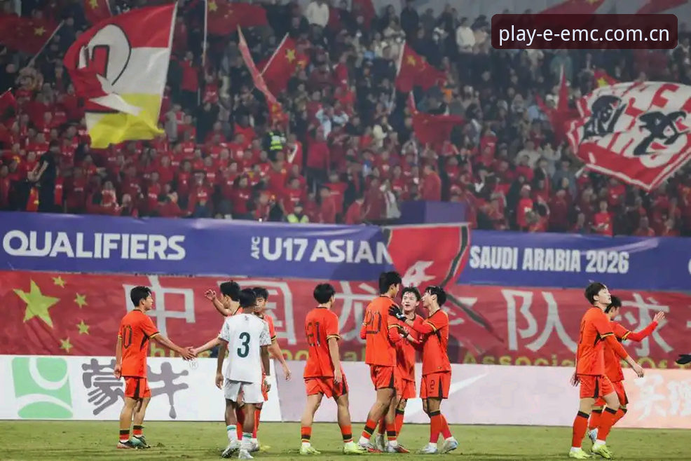 世界杯66队vs48队：扩军争议背后，中国男足的机遇与挑战